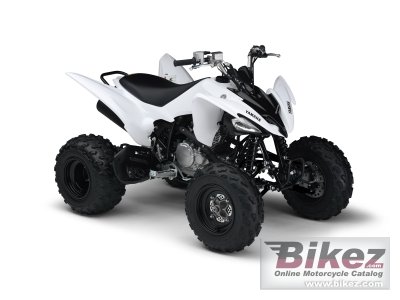 2011 Yamaha YFM250R photo